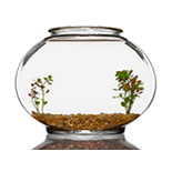 Round Fish Tank